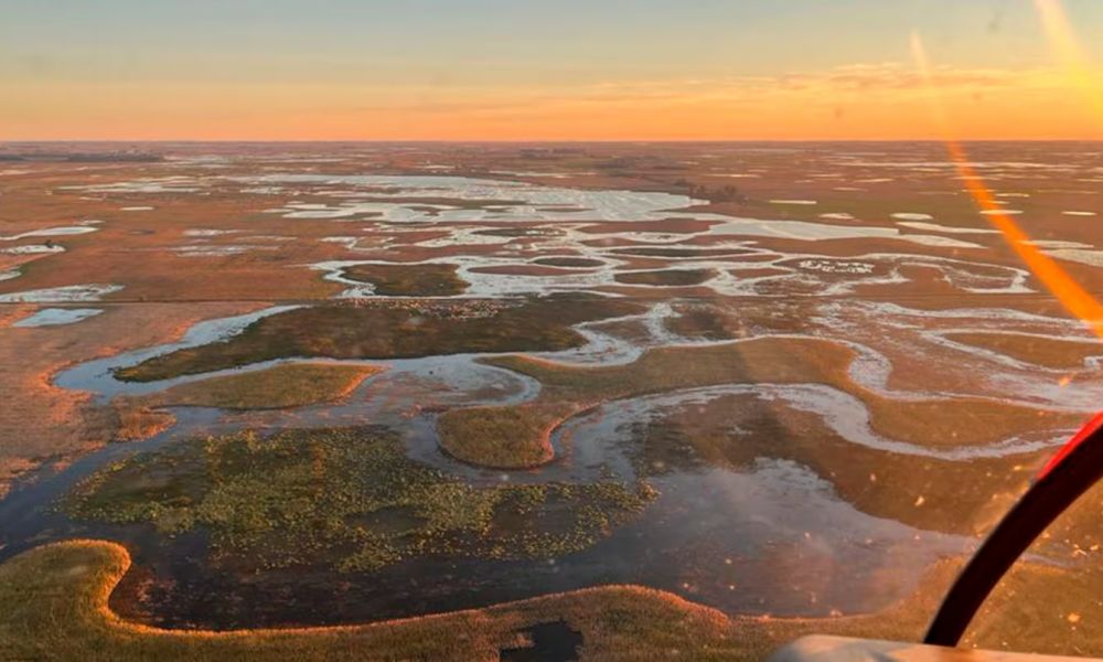 ¿Cuánto perderá el campo bonaerense tras las inundaciones?