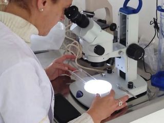 Pergamino: Bromatologa refuerza la campaa anual de prevencin de la Triquinosis