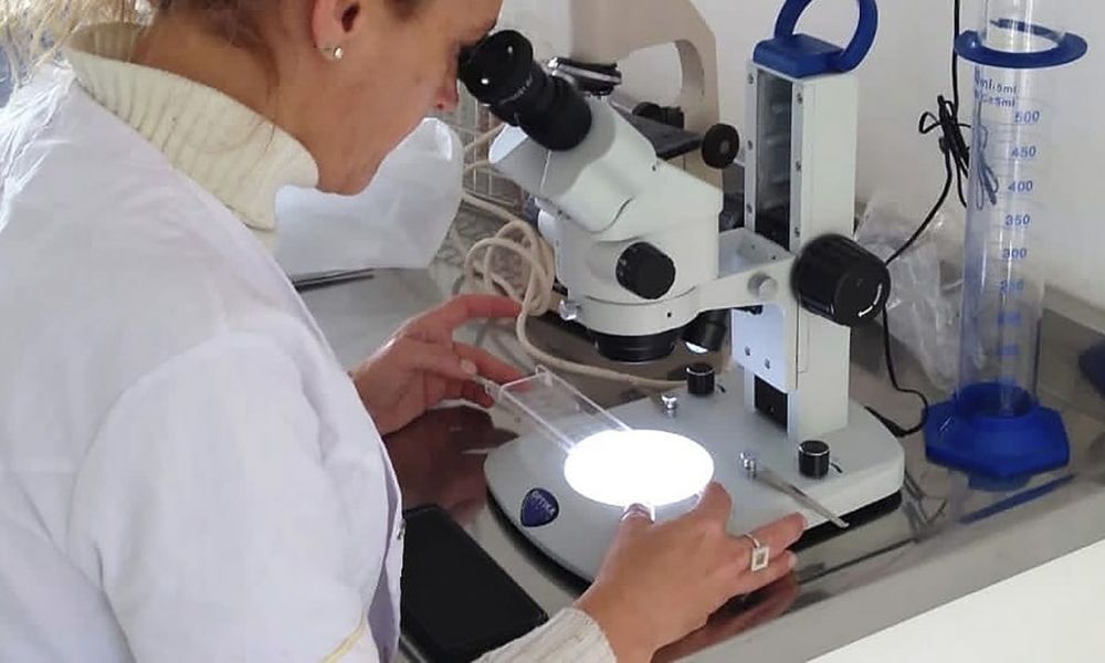 Prevención de la Triquinosis en Pergamino