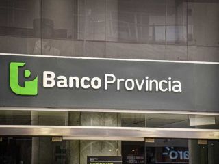 Detalles del prstamo del Banco Provincia con tasa fija del 55% anual
