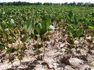 Advierten que el fenmeno climtico La Nia est ms cerca de ser realidad este verano