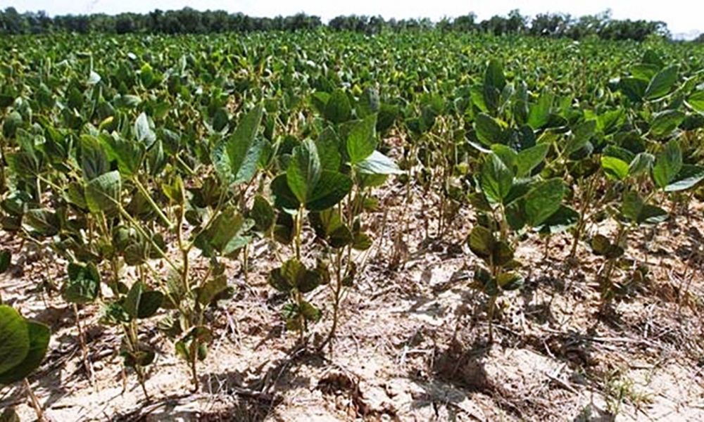 La Niña está más cerca de ser realidad este verano