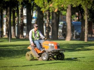 Pergamino: Limpieza de desages y tareas de embellecimiento en espacios verdes de la ciudad