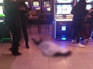 Murió en pleno bingo y nadie se detuvo: La falta de humanidad que indigna