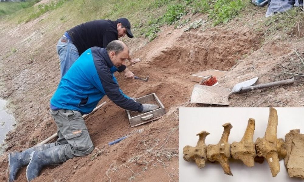 Restos humanos de 21 mil años en Buenos Aires