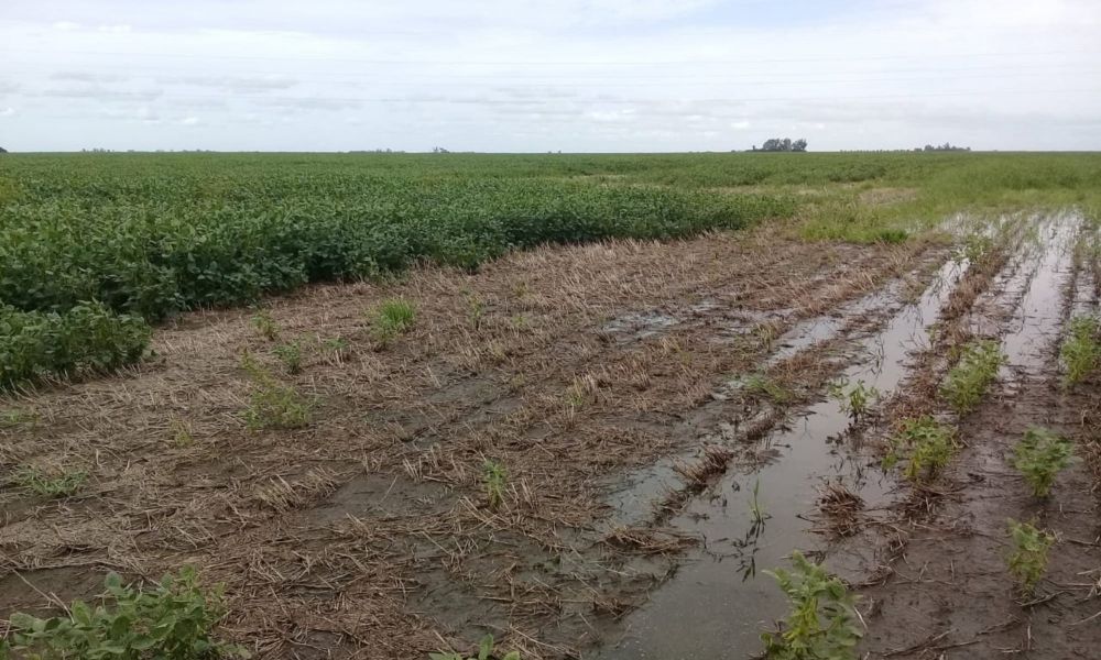 La Niña se disipa