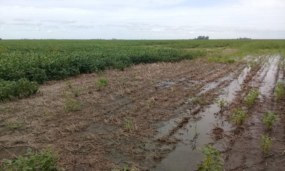 La Niña se disipa