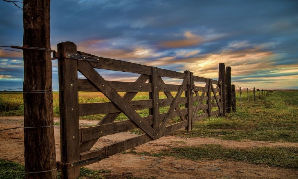 Irregularidades en boletas del Inmobiliario Rural