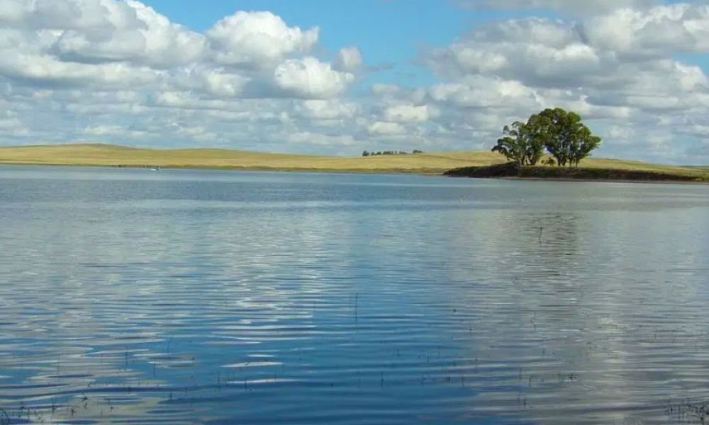 Laguna de Pigüé