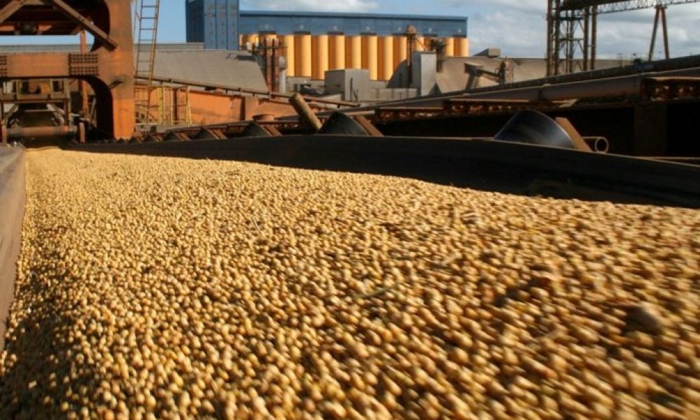 El trigo y el maíz suben por la crisis ucraniana