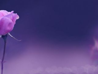 Pergamino: Conmemoran el D�a de la Mujer este domingo en la Plazoleta Atahualpa Yupanqui