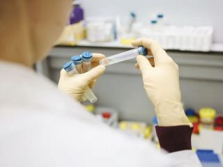 Nuevo virus en murcilagos de China genera alarma en los mercados