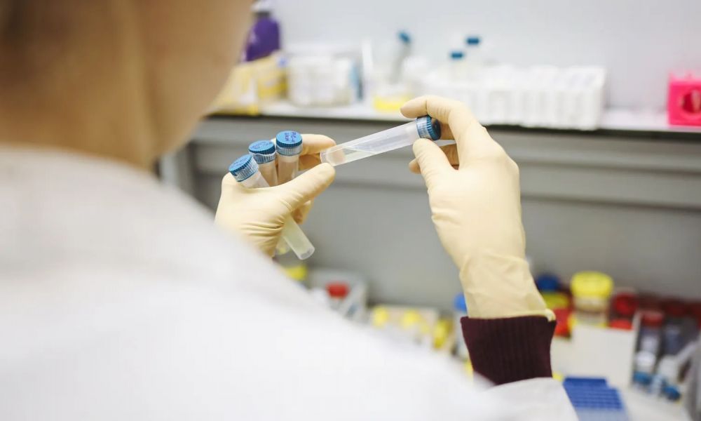 Nuevo virus en murciélagos de China
