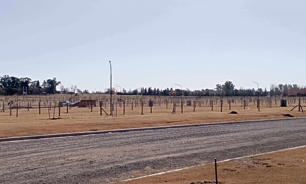 Mi Lote 12 de octubre