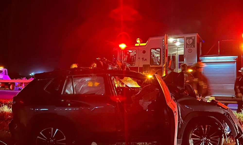 Caballos sueltos en la autopista