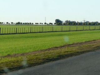Impulsan en la Provincia un proyecto para permitir la siembra en banquinas y generar nuevos ingresos para los municipios