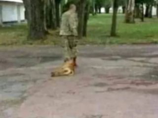 Olavarra: encuentran muerto al militar que era buscado tras torturar y asesinar a un perro