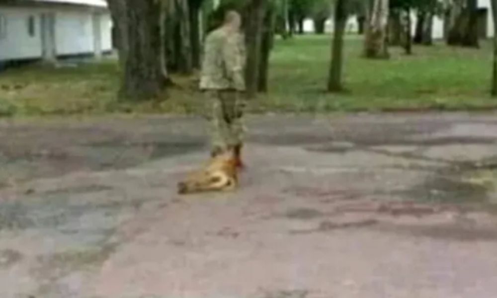 Militar tortura y asesina a un perro