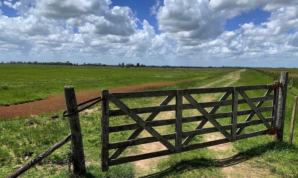 Productores bonaerenses al límite
