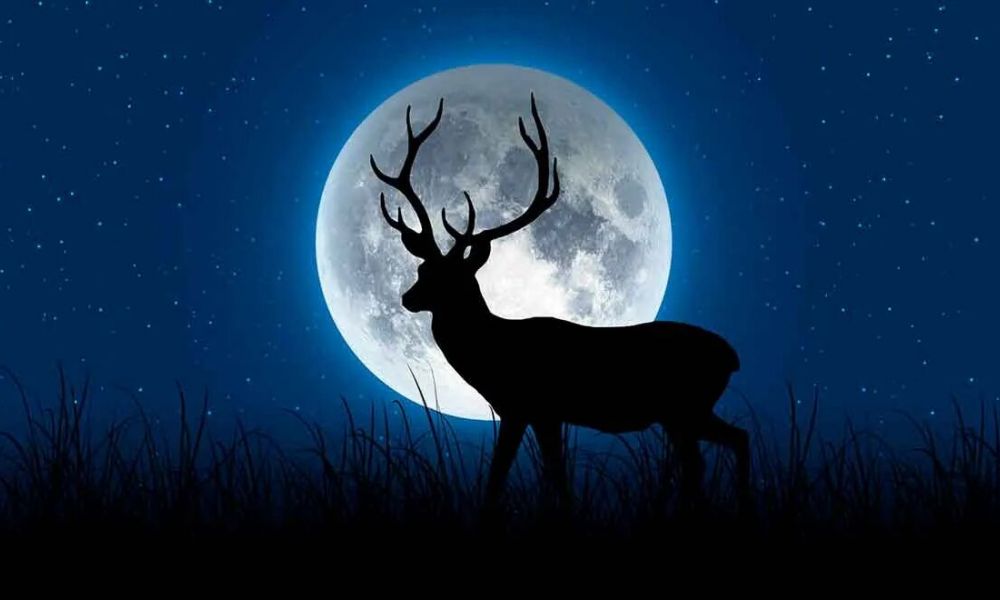 Superluna de ciervo