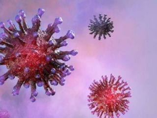 Estudio asegura que la variante micron genera proteccin contra la Delta