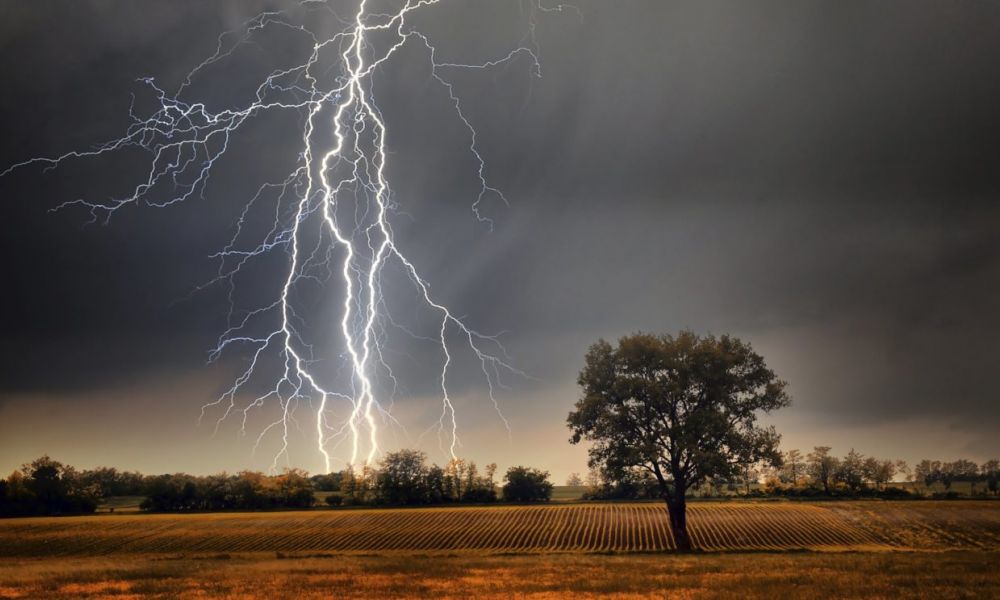 Jinete murió fulminado por un rayo mientras arreaba ganado