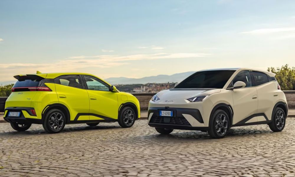 Caputo descartó una «invasión» de autos chinos