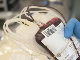 Los Testigos de Jehová modificaron una histórica postura sobre la sangre