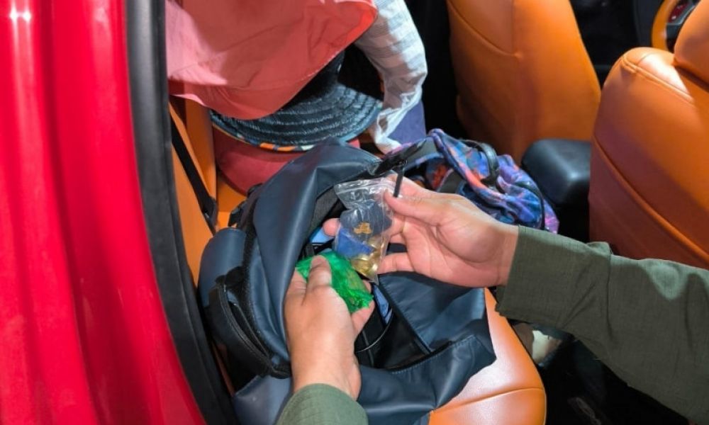 El botín de la abuela