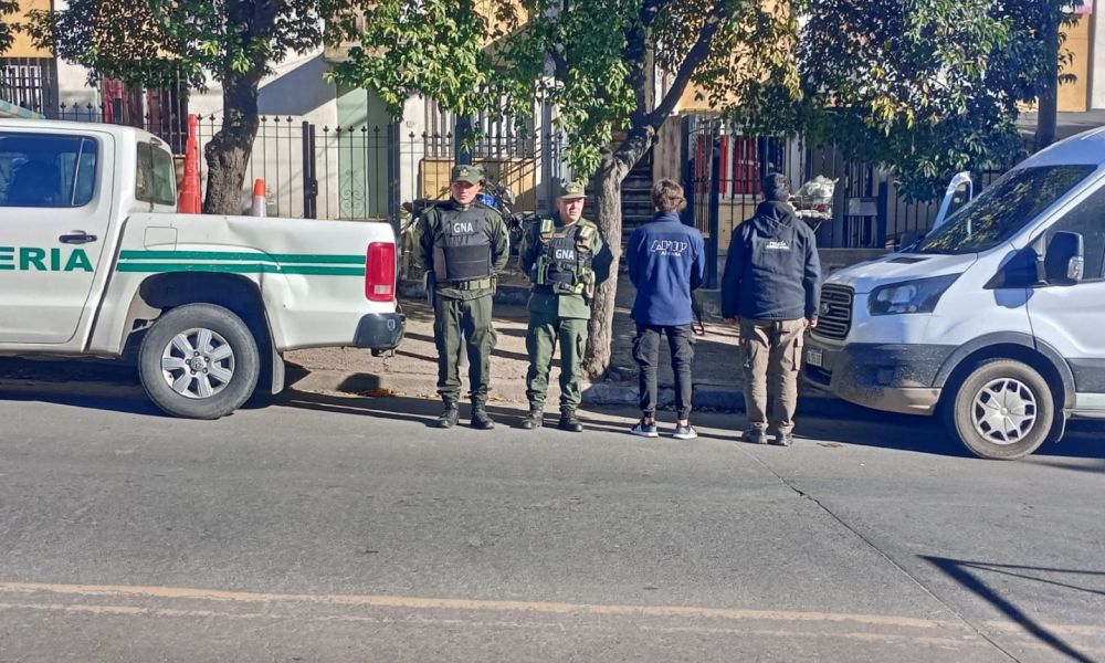 Desmantelan venta ilegal de animales exóticos