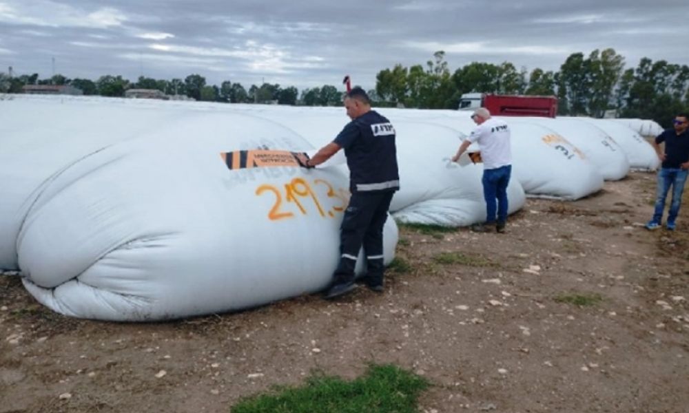 AFIP incautó 270 toneladas de maíz en una planta de acopio