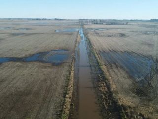 Emergencia agropecuaria en diez distritos bonaerenses por las inundaciones