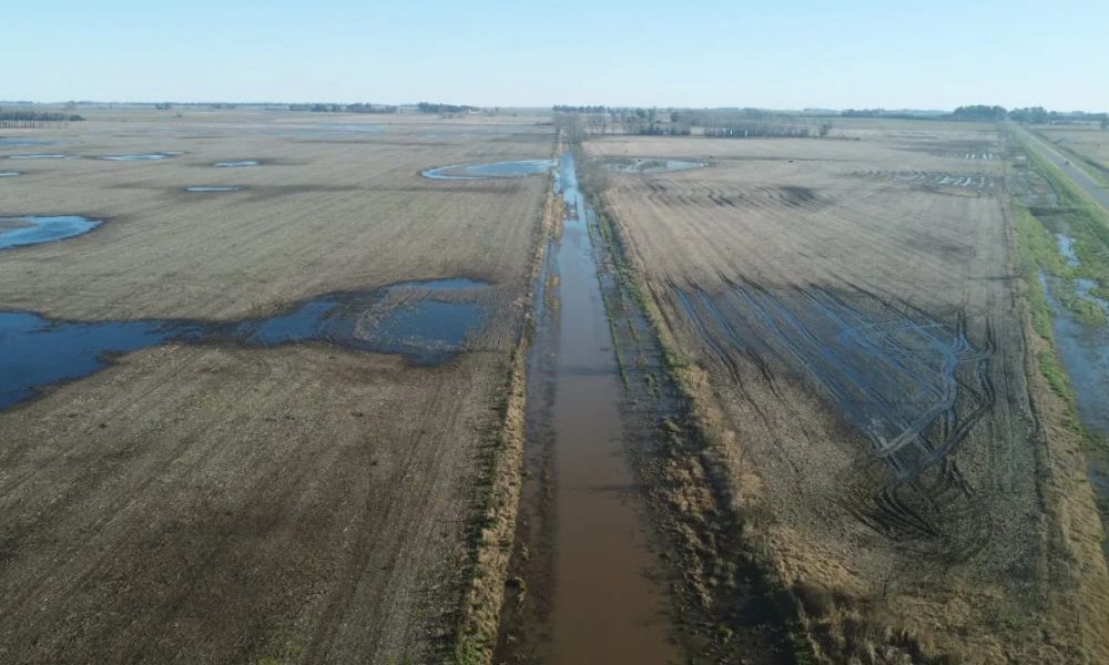 Emergencia agropecuaria en diez distritos bonaerenses