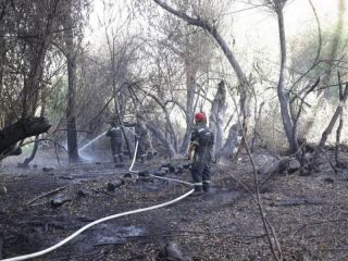 Incendio fuera de control en El Bolsn: ya evacuaron a 1.500 familias