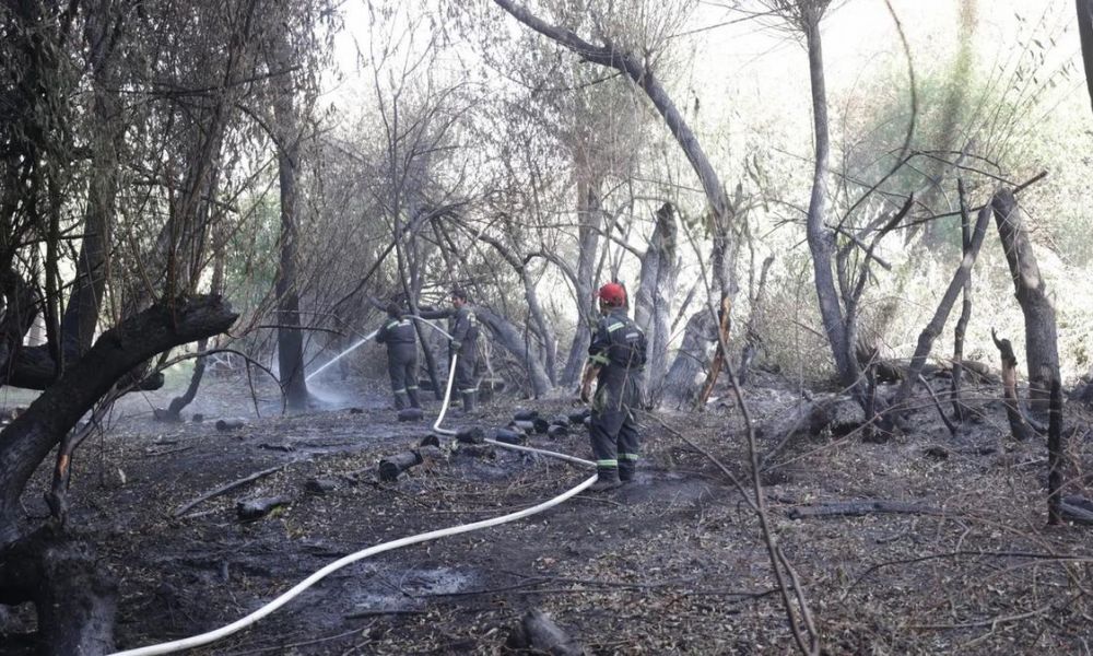 Incendio fuera de control en El Bolsón