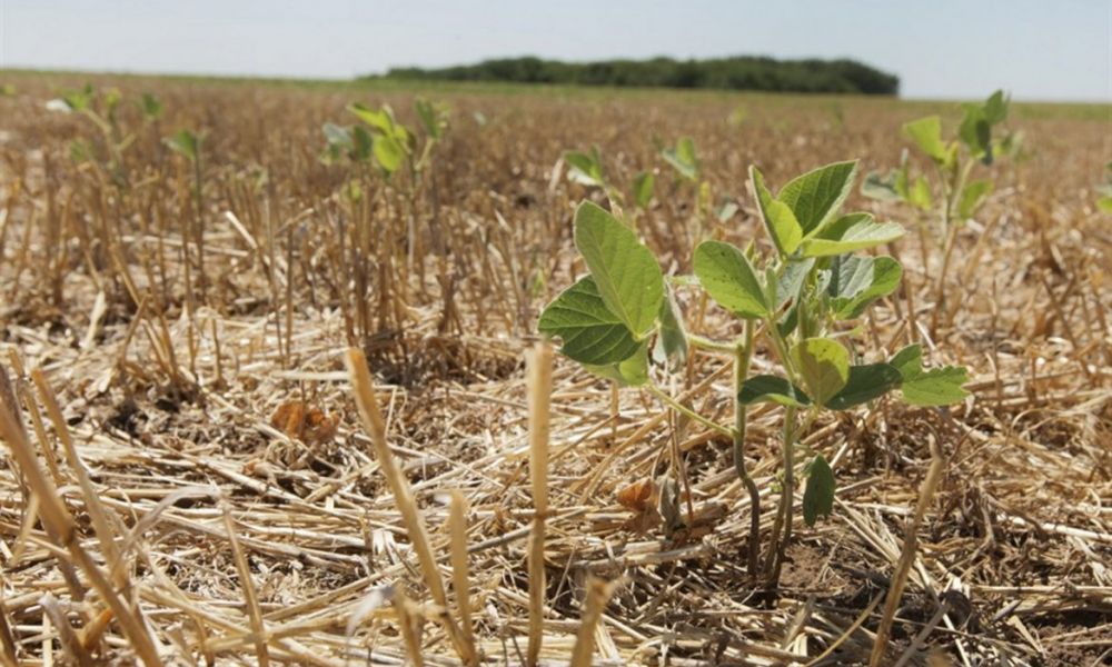 Convocan a una asamblea por la sequía y las retenciones