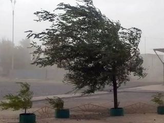 Primavera con viento y frío: Cómo estará el tiempo durante toda la semana