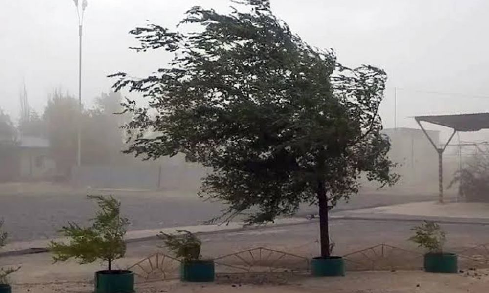 Primavera con viento y frío