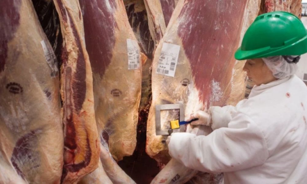 Argentina exportará carne bovina a México