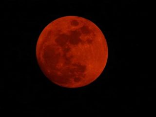 La Luna de Sangre ilumin el cielo: As se vivi el eclipse lunar total en Argentina
