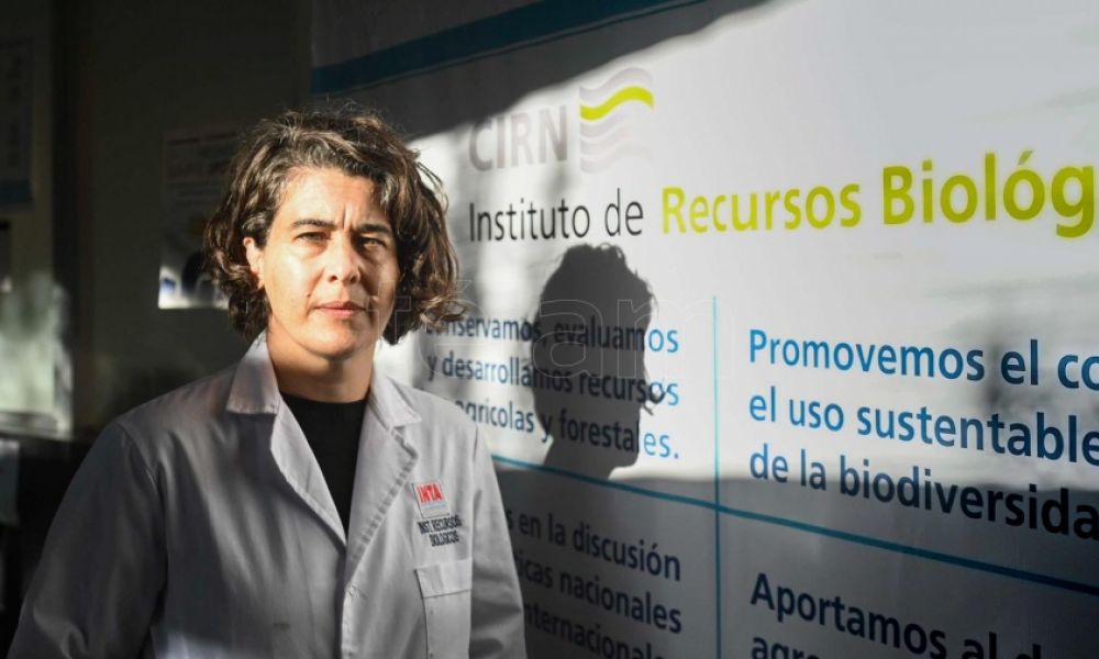 Cannabis medicinal en Argentina