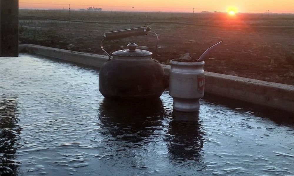  ¿Cuándo termina la ola polar en la región?