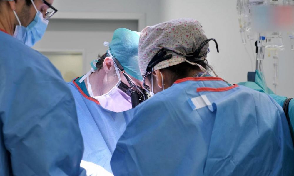 Día Mundial del Trasplante de Órganos y Tejidos