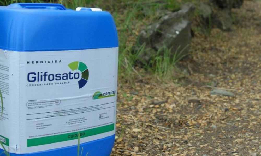 Misiones prohíbe el glifosato en la agroindustria