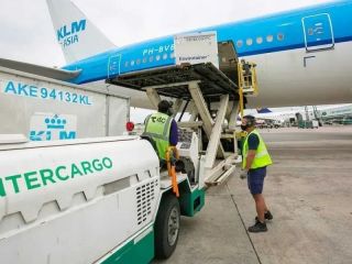 Intercargo ser privatizada: El gobierno inicia la venta total de la empresa estatal de servicios areos