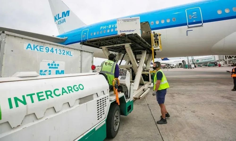 Intercargo será privatizada