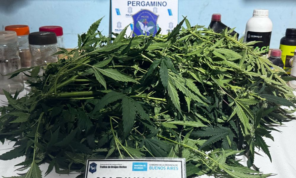 Allanamiento por drogas en barrio José Hernández