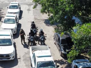 Amplio operativo en Pergamino contra el abigeato: hallan carne faenada y plantas de marihuana