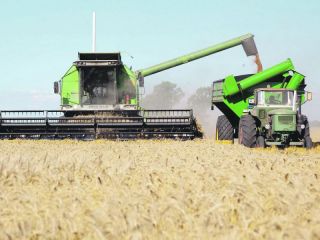 Junn: Cay el cabecilla de una banda que robaba la cosecha de campos