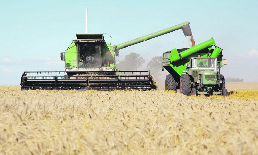Cayó cabecilla de una banda que robaba la cosecha de campos